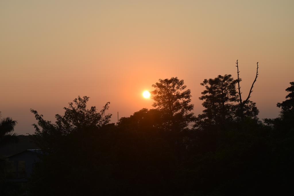Chitwan Village Resort Саураха Экстерьер фото