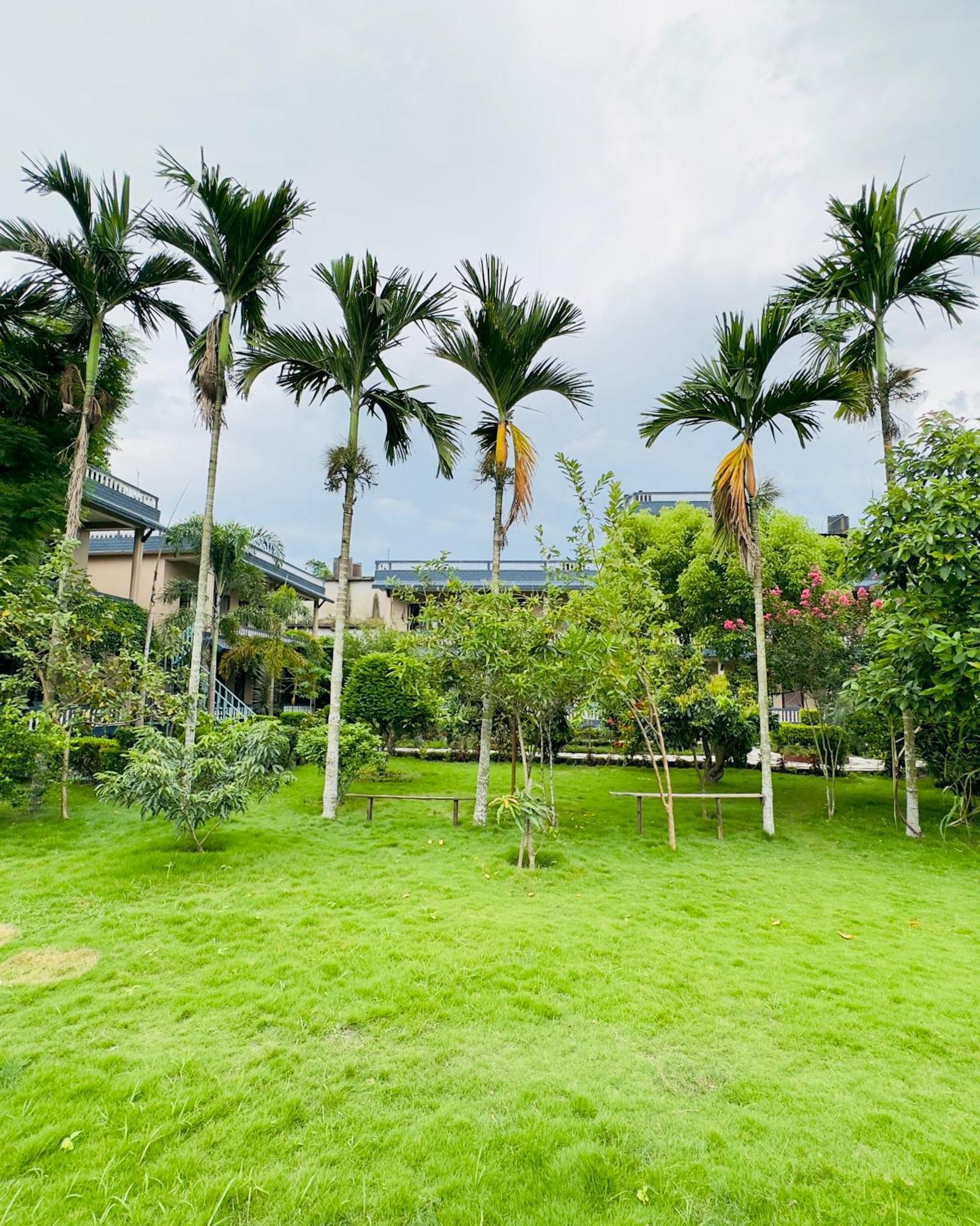 Chitwan Village Resort Саураха Экстерьер фото