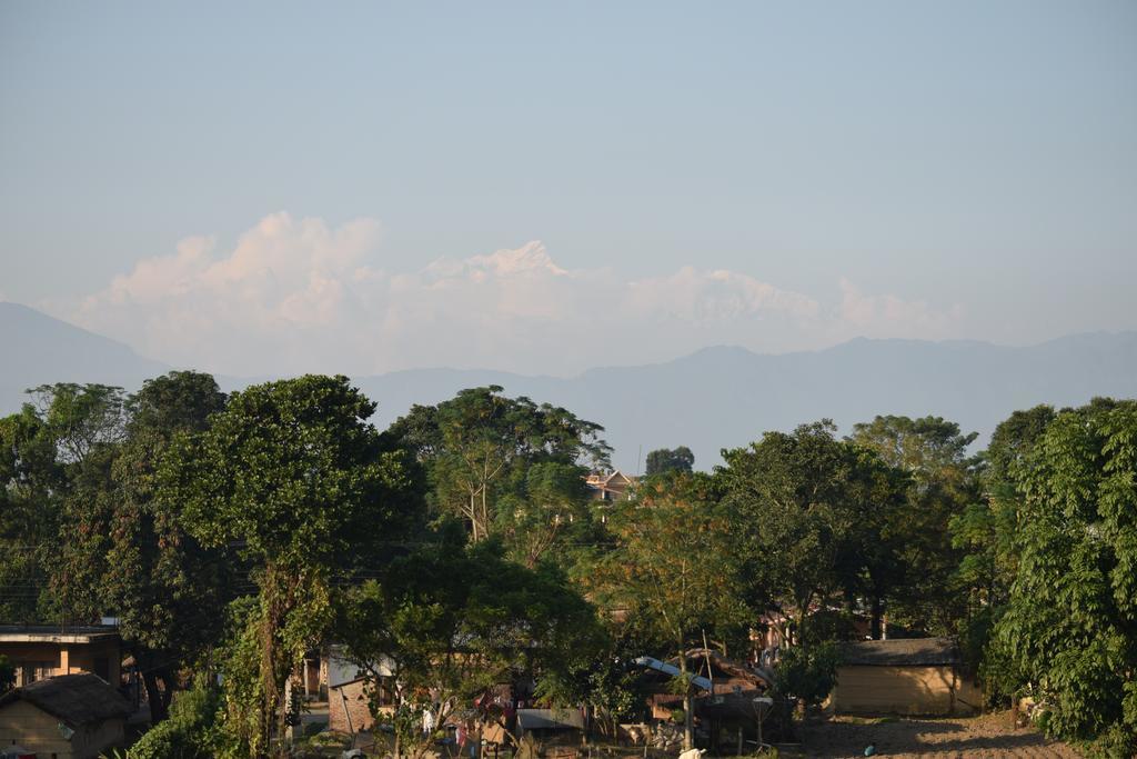 Chitwan Village Resort Саураха Экстерьер фото
