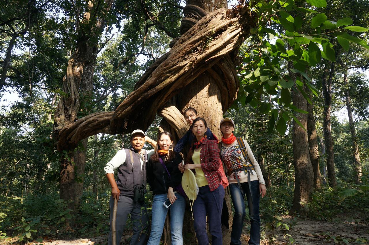 Chitwan Village Resort Саураха Экстерьер фото