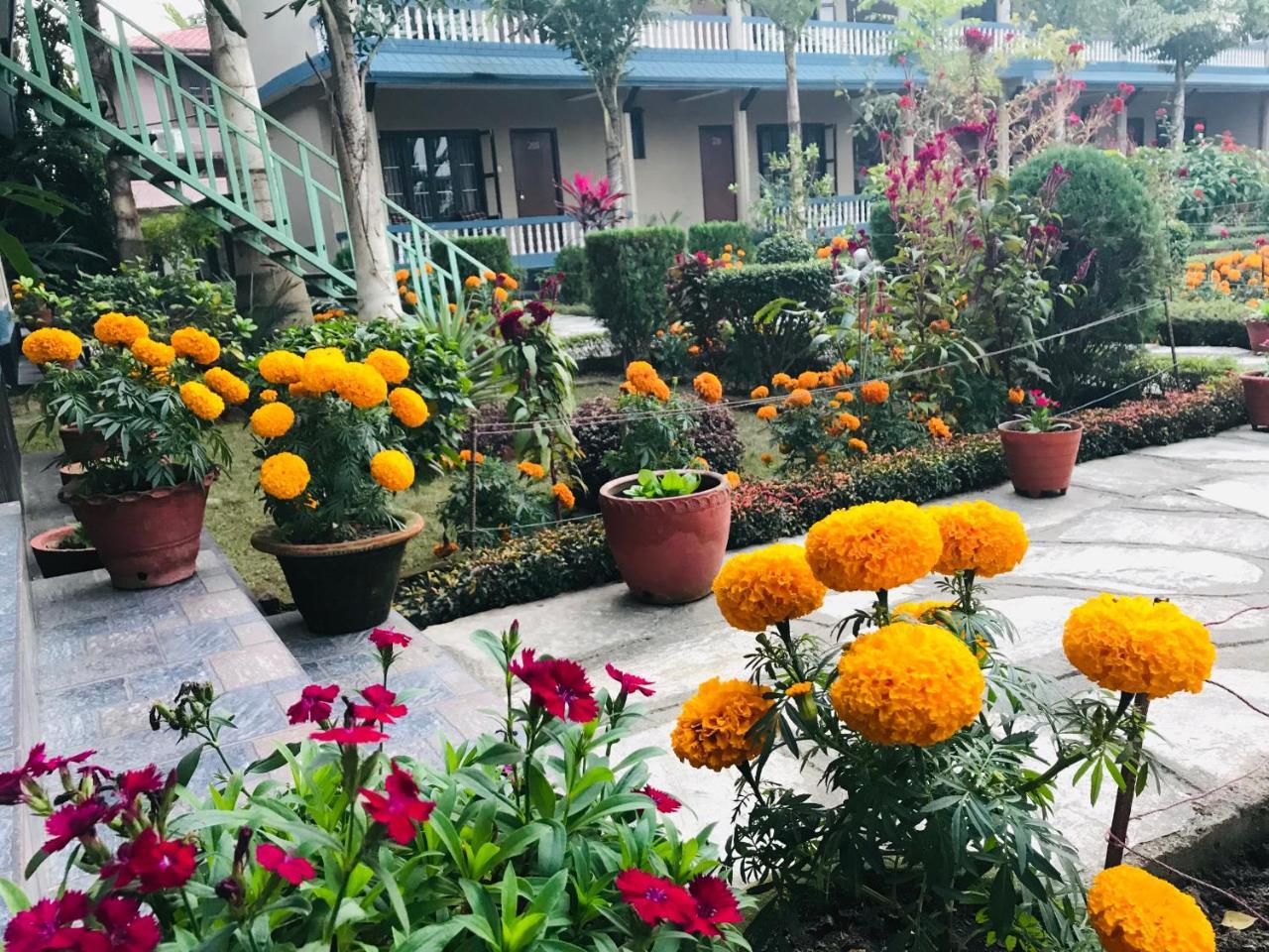 Chitwan Village Resort Саураха Экстерьер фото